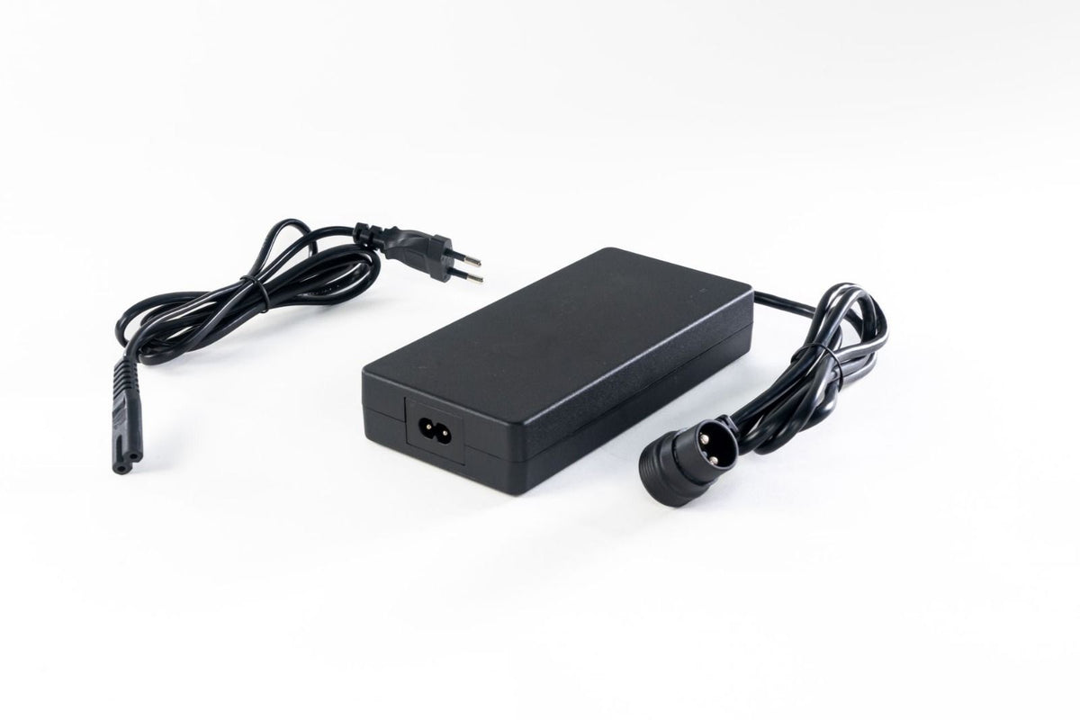 Cargador ZF BC 200 200W BES - por defecto