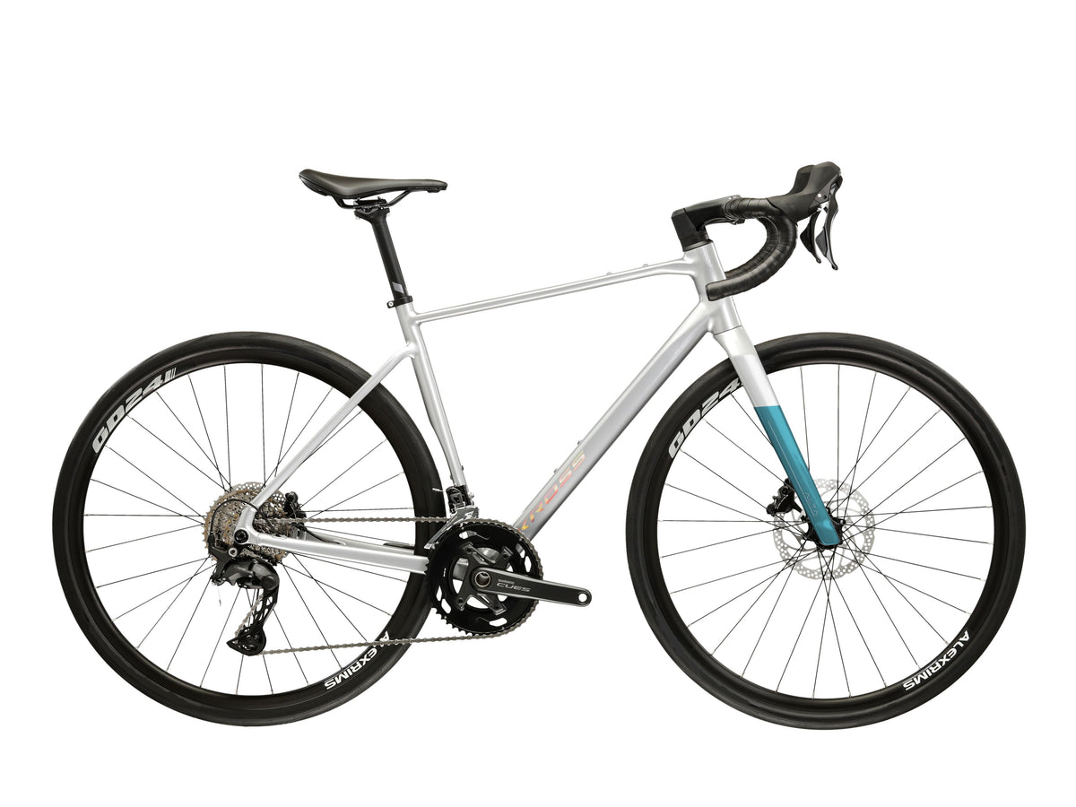 Alta 2.0 - M silver glossy