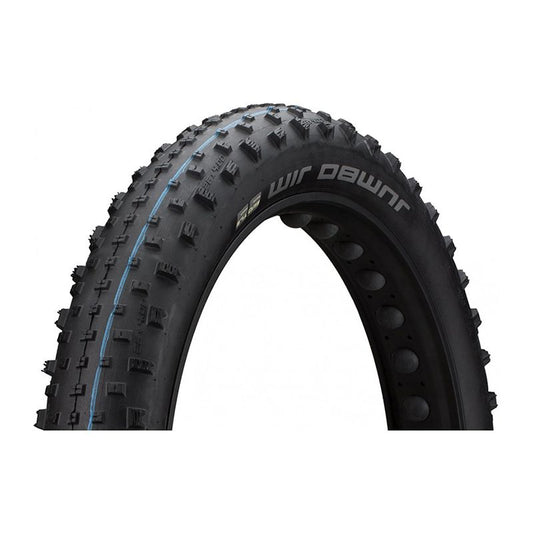 Jumbo Jim - 26x4.00 Evolution Line Tubeless Ready