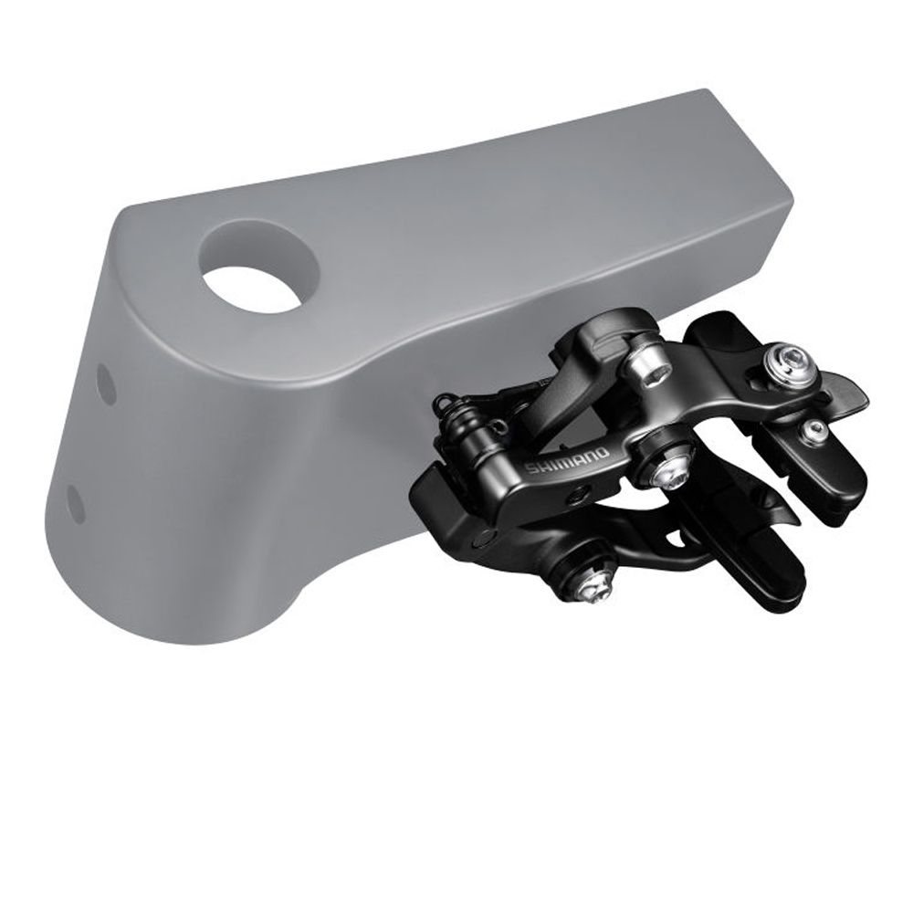 BR-RS811-R - por defecto
