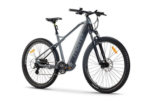 E-MTB 29” - L - XL
