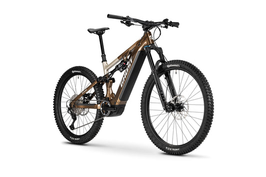 E-ASX Advanced - L - brown bear/stone glänzend