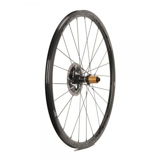 Sonic Disc - Trasera Campagnolo Negro
