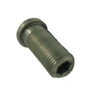 Tornillio Escandio para SC-Pro - 10x22 mm