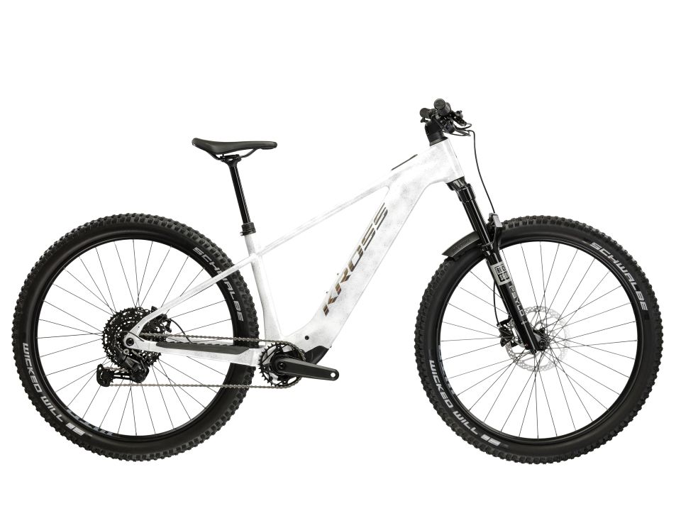 Kross Dust Boost 1.0